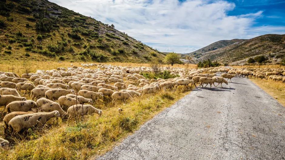 Macedonië Mavrovo NP