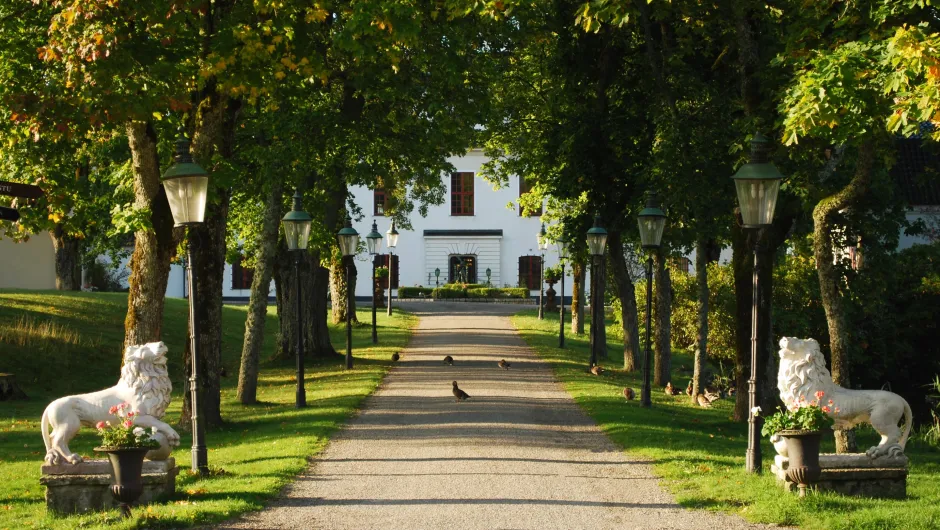 Actieve vakantie Zweden, Häringe