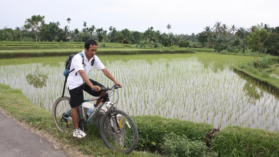 Fietstour op Lombok met Putu