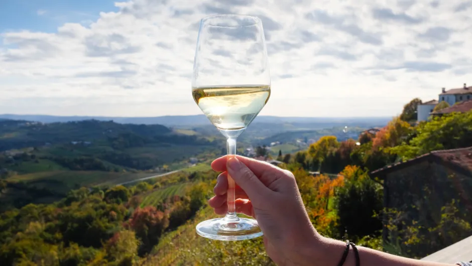 Culinaire Slovenië vakantie- bergen wijnglas.