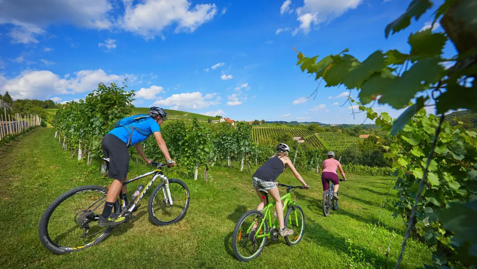 Familiereis Slovenië fietsen.