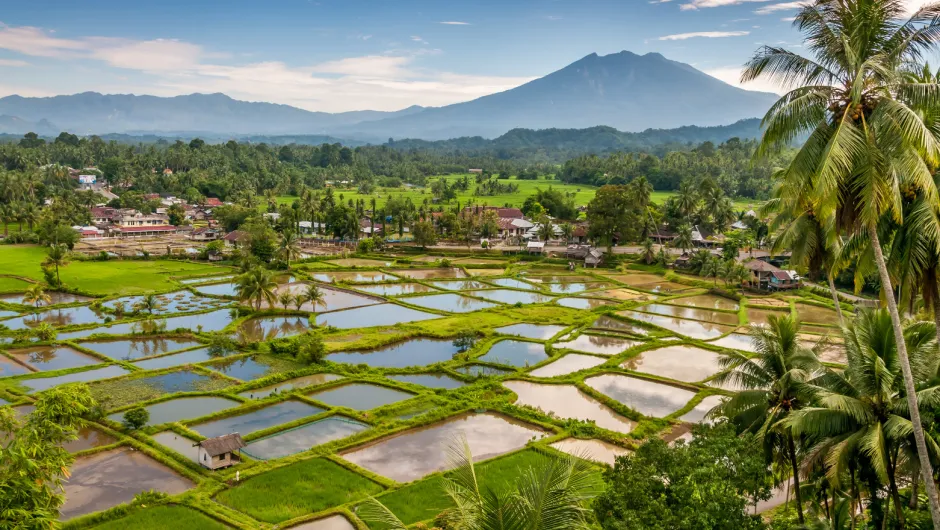 Rondreis mooiste eilanden van Indonesië, Sumatra.