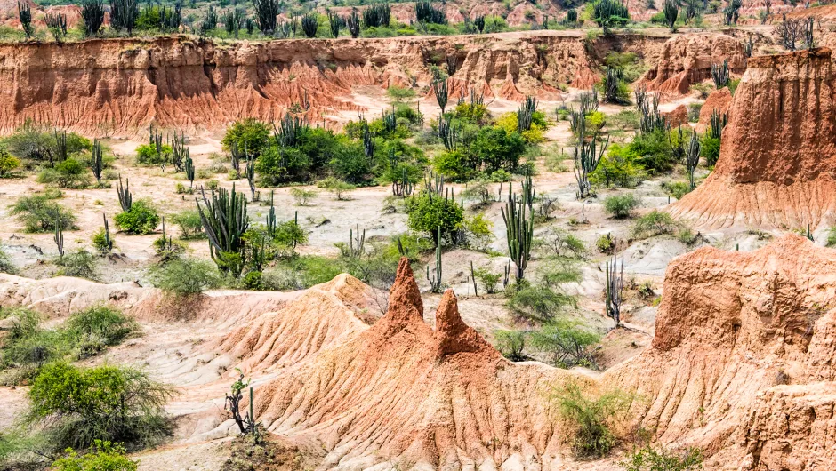 Colombia bezienswaardigheden - Tatacoa Park.