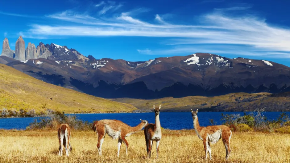 Bezienswaardigheden Chili - Torres del paine.