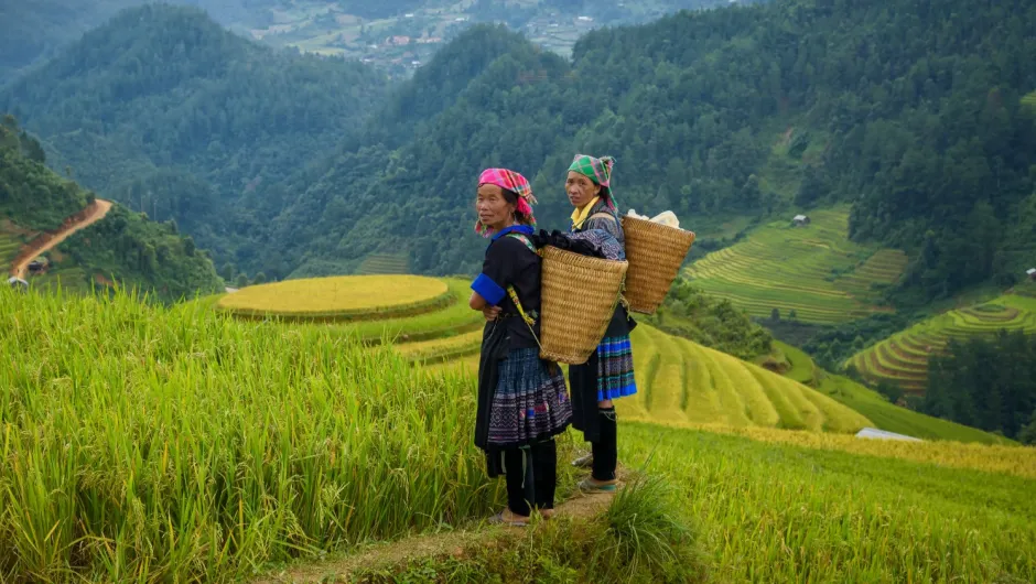 Bezienswaardigheden Vietnam Mu Cang Chai rijstvelden.