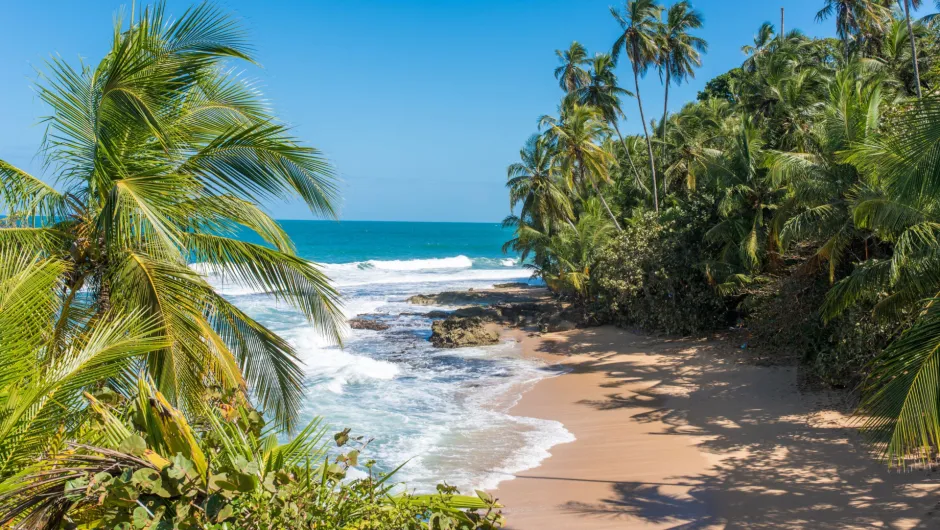 Cahuita strand - Costa Rica.