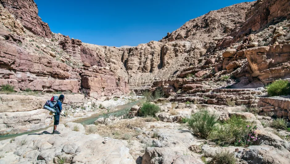 Jordanië reiservaringen, wandelaar Wadi Zered.