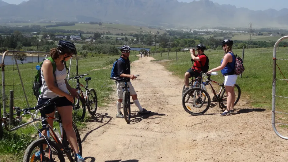 Zuid-Afrika reiservaringen,  wijntocht op de fiets.