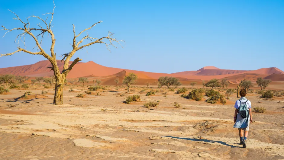 Sossusvlei Namibië.