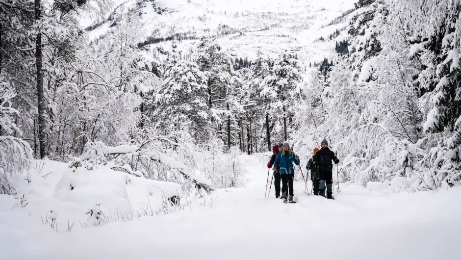 Wintervakantie Zuid-Noorwegen - trekking in de sneeuw.