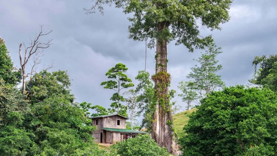 Mooiste plekken Costa Rica - boomhut in het bos.