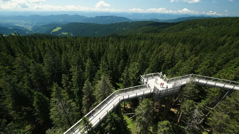 Treetop walk, Slovenië.