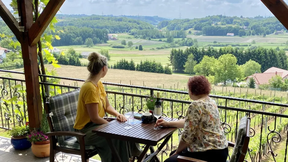 Vrouwen aan tafel op wijnboerderij Slovenië.