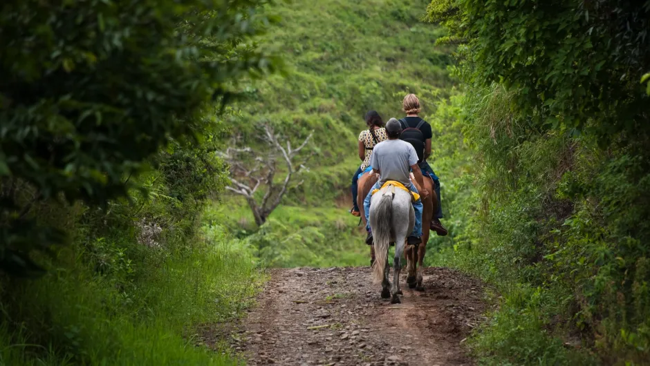 Gezinsvakantie Costa Rica - reizigers aan het paardrijden.