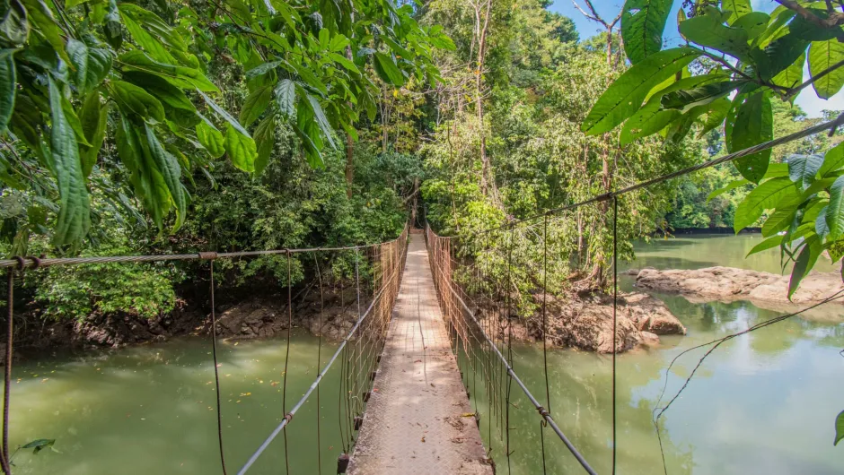 Costa Rica - hangbrug in Nationaal park Corcovado.