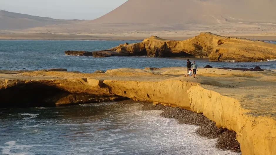 Paracas Peru.