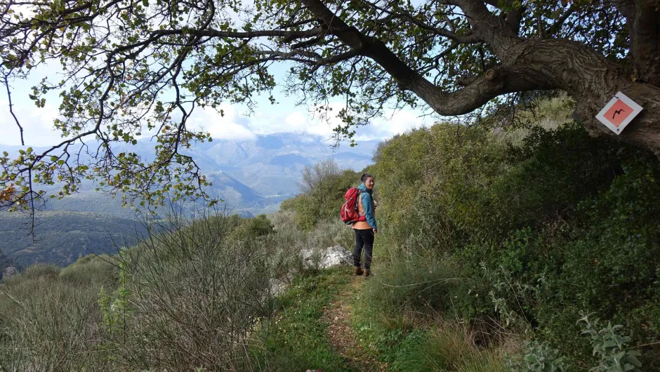 Menalon Trail Griekenland - wandelen in het landschap van Peloponnesos.