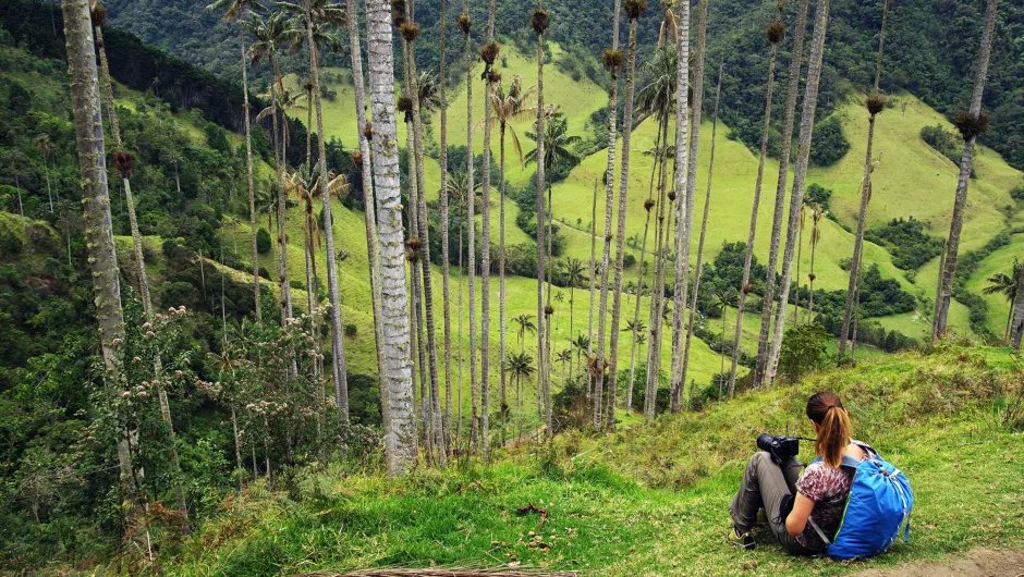 Het Cocora Vallei in Colombia.