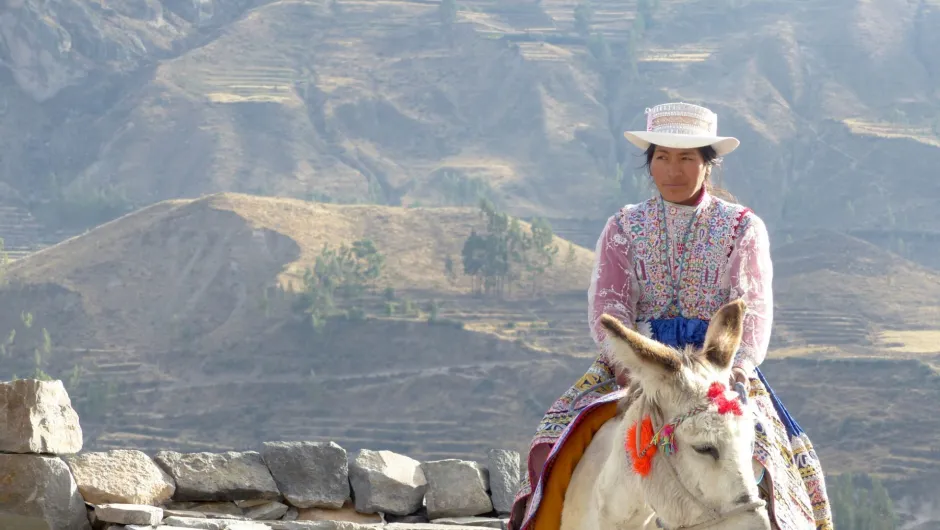 Lokale vrouw paardrijden in de Colca Canyon.