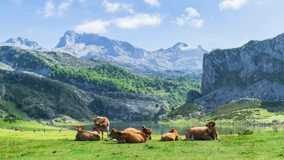 Picos de Europa.