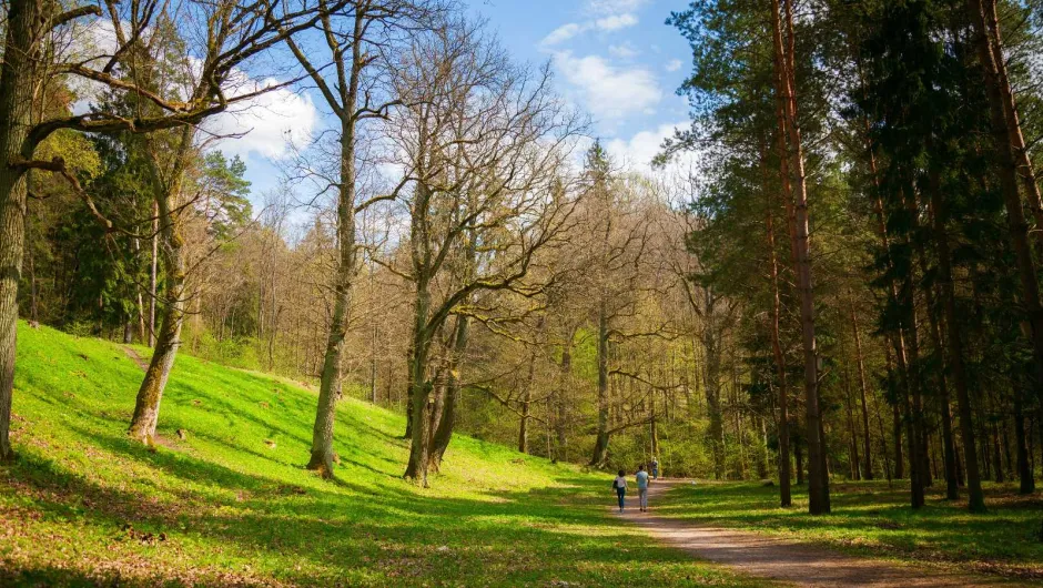 Park in Vilnius, Litouwen.