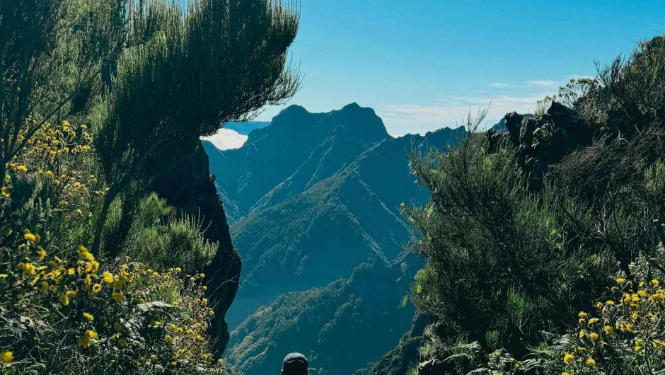 Wandelaar Madeira