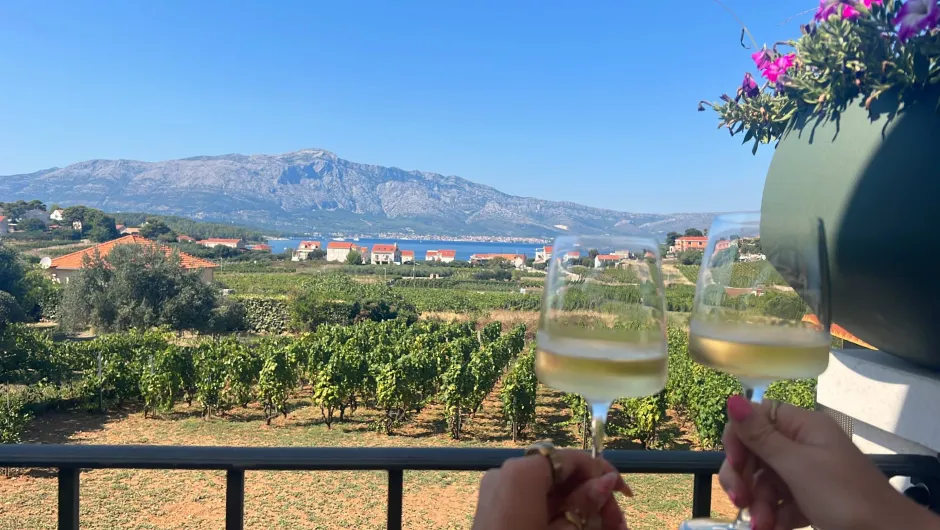 Twee wijnglazen met een wijngaard op de achtergrond op Korcula.