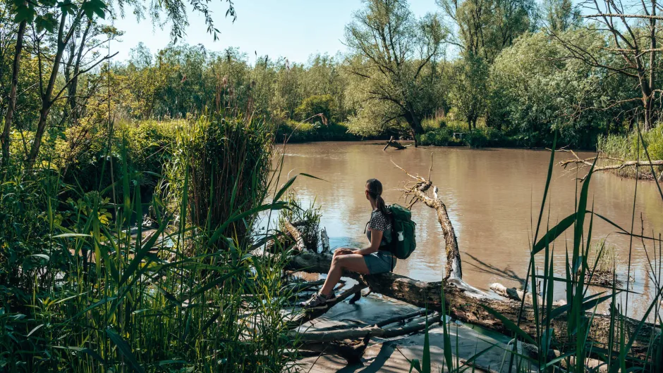 Wandelreizen in Nederland, IVM trektocht Avontuur Dichtbij in de Biesbosch.