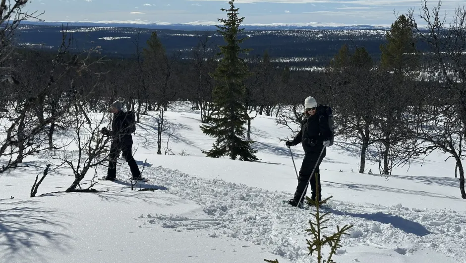 Sneeuwschoenwandelen