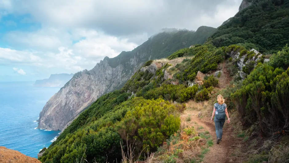 Madeira Veredo do Larano
