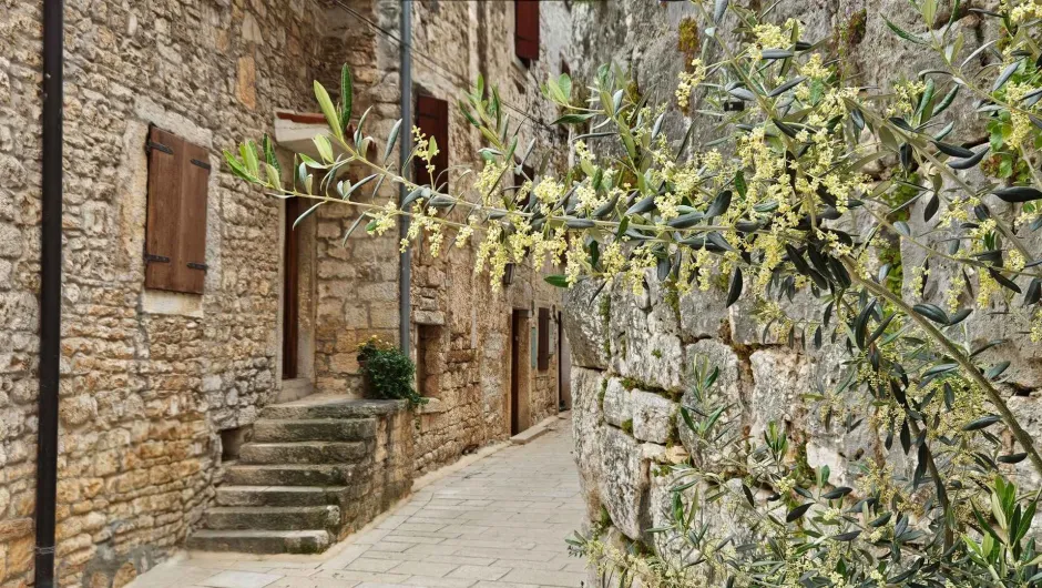 Authentiek ouderwets straatje. 