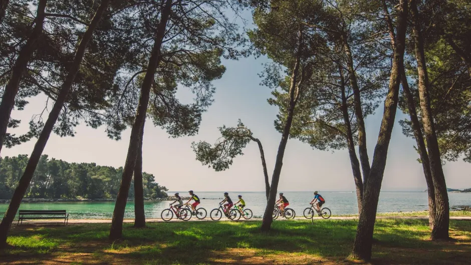7 fietsers fietsende in de natuur langs het water. 