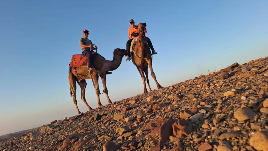 2 reizigers die op een dromedaris zitten in de woestijn.