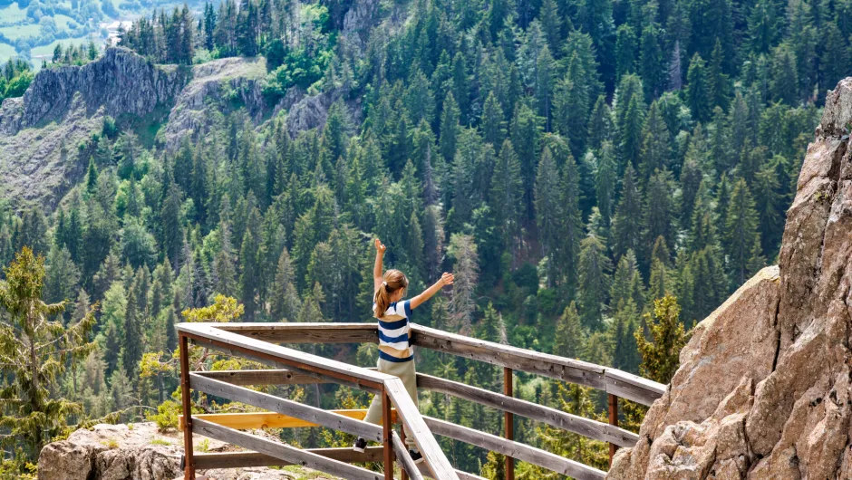 Rhodope Mountains - Bulgarije.