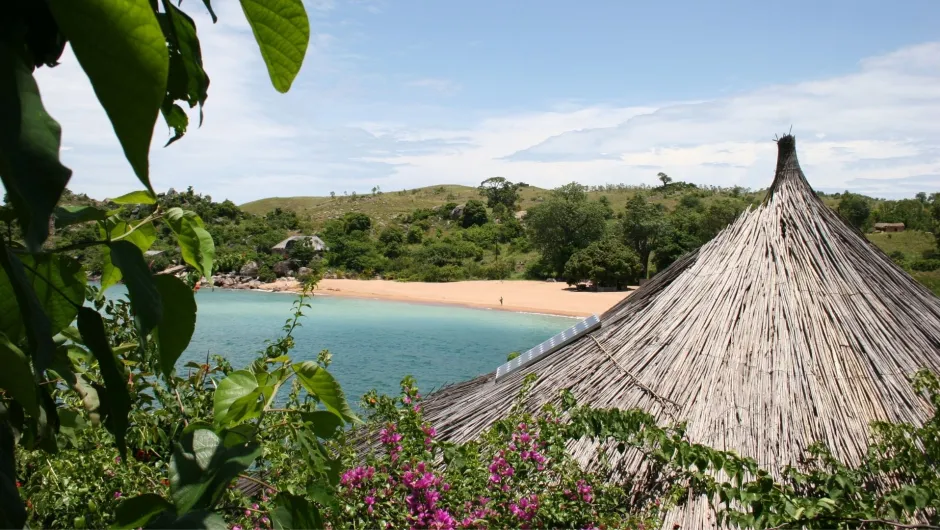 Een rietendak van een huis naast een blauwe zee en bomen.