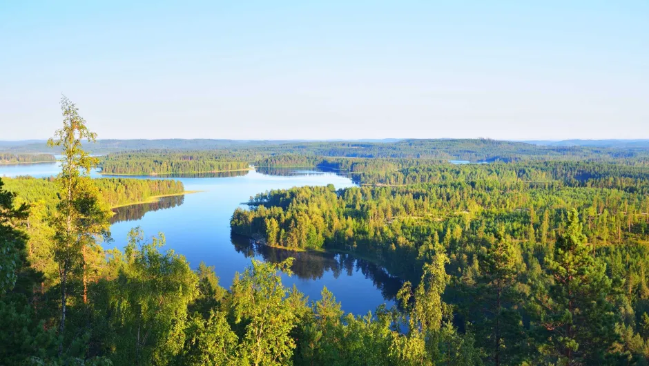 Bovenaanzicht Saimaa meer in Finland.