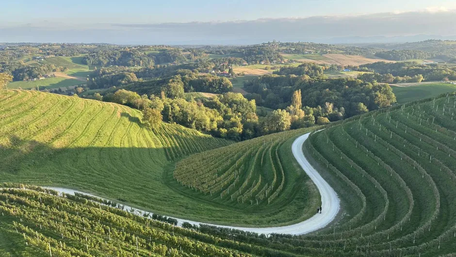 Wijnroute in Medimurje