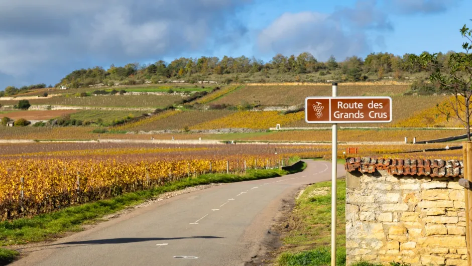 Landweggetje van de Route des Grands Crus door gouden herfstwijngaarden in de Bourgondische wijnstreek van Frankrijk.