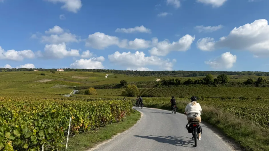 Een groep fietsers rijdt over een landelijke weg door uitgestrekte wijngaarden en glooiende heuvels, onder een blauwe lucht met verspreide witte wolken.