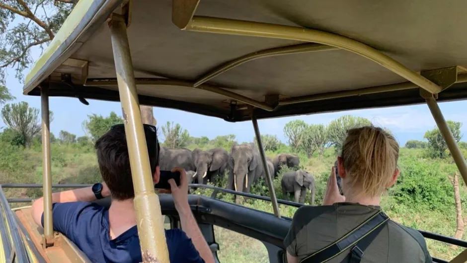 Reizigers bekijken olifanten vanuit een safarivoertuig.