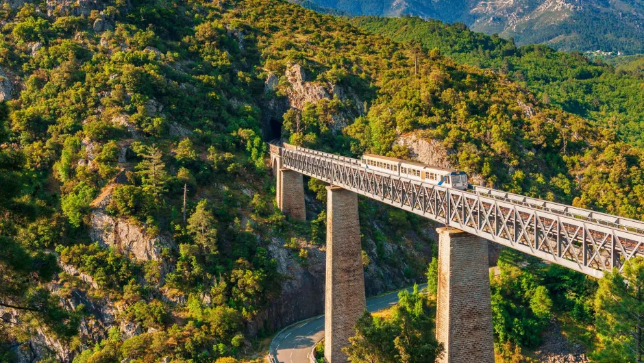 Trein die over een viaduct rijdt tussen de groene bergen en landschappen van Corsica.