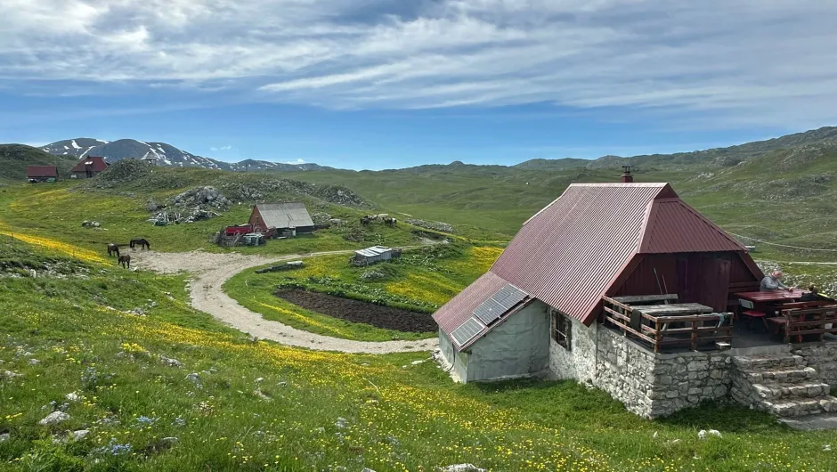 Een katun in het landschap in Montenegro.