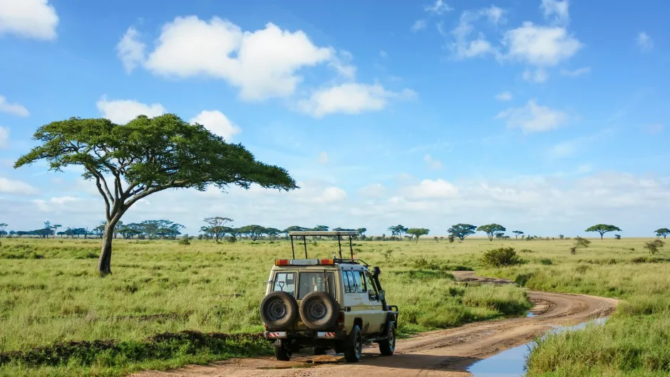 Safari Gepäck