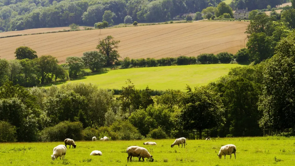 Gloucestershire in Winchcombe - Engeland.