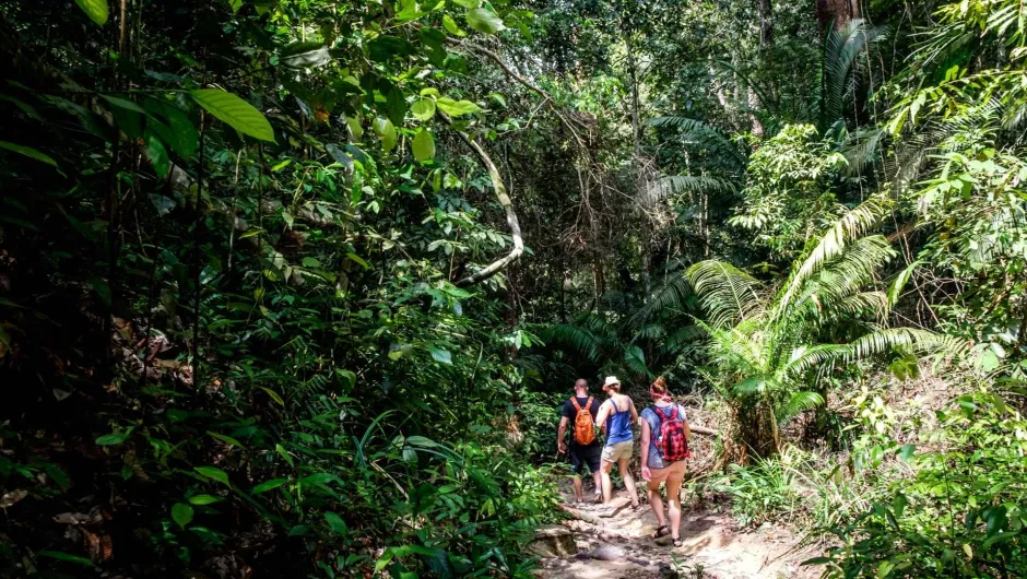 Gezin dat wandelt door Penang National Park tussen de groene begroeiing.