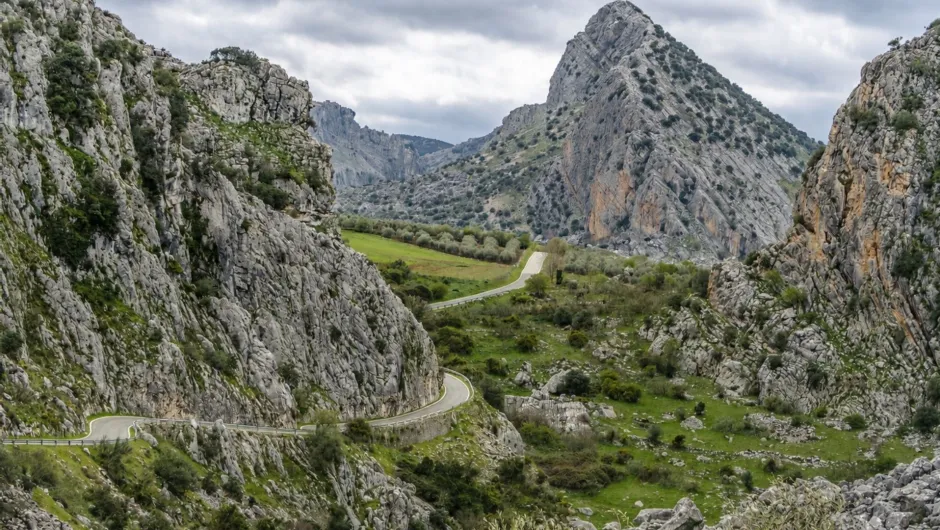 Kronkelende weg langs stenen bergen en groene velden met olijfbomen in Andalusië.