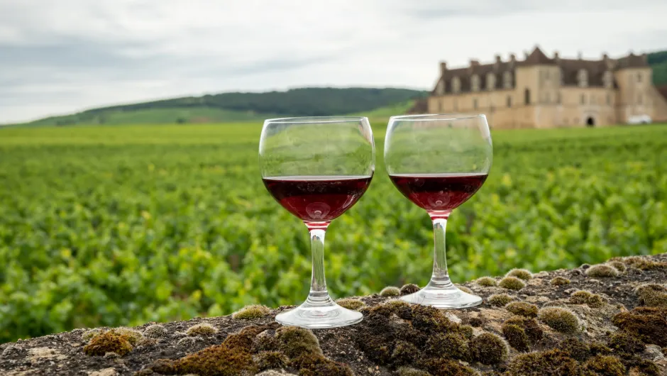 Wijn proeven in de Bourgogne