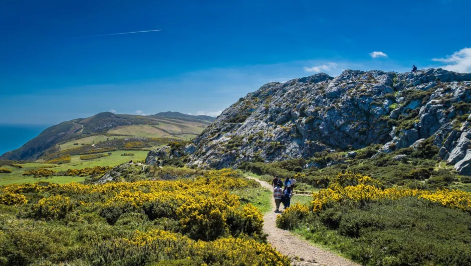 Wandelaars in de natuur van Ierland.