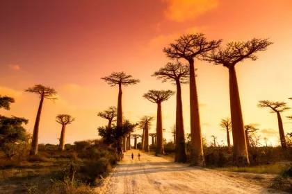 Rondreis Madagaskar