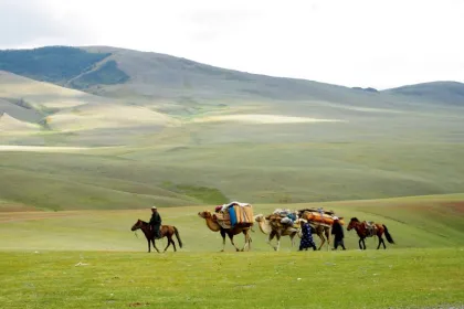 Rondreis Mongolie kudde dieren